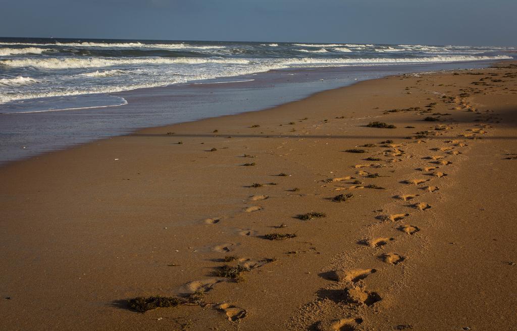 View The Ocean At Flagler Beach, Florida Zewnętrze zdjęcie